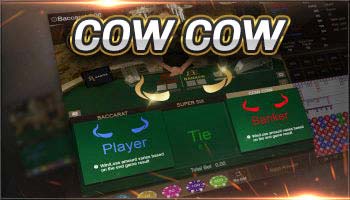 cowcow baccarat