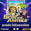 รีวิวเกมสล็อต Birds and Animals